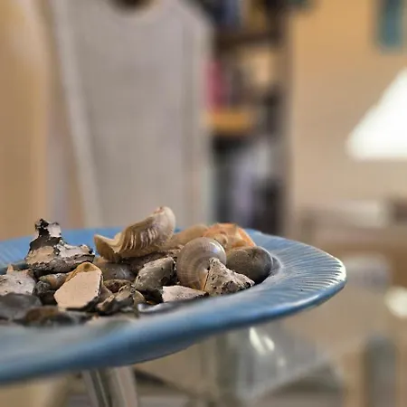 T3 * غرال موريتز